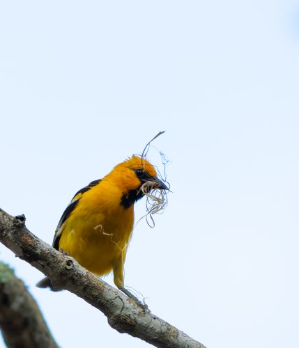 Costa Rica 2025 – Bild 162