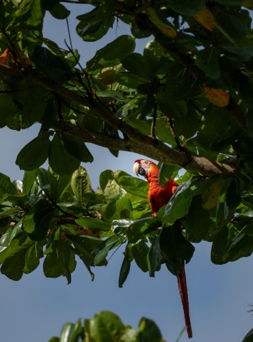 Costa Rica 2025 – Bild 219