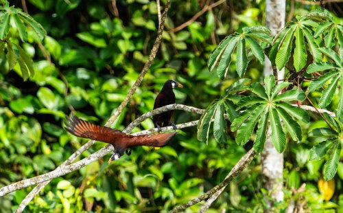 Costa Rica 2025 – Bild 265