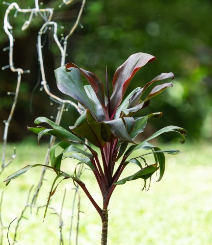 Bild 1 – ^tessttsdfsdf