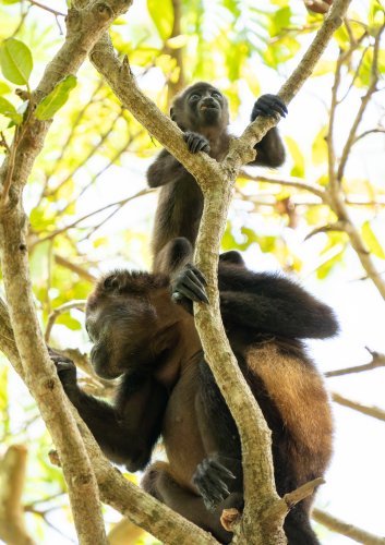Costa Rica 2025 – Bild 69