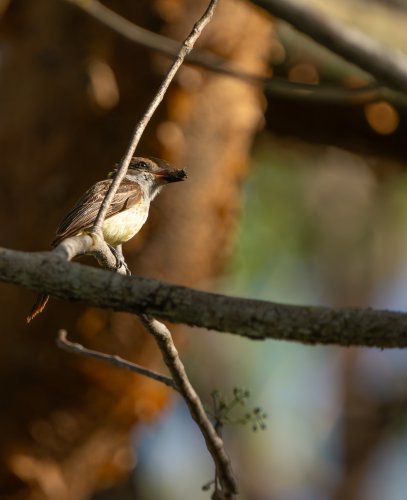 Costa Rica 2025 – Bild 78